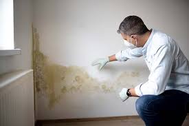 Gordon Heights, NY Mold Removal & Remediation Company